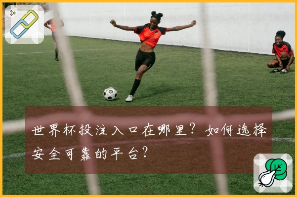 世界杯投注入口在哪里？如何选择安全可靠的平台？