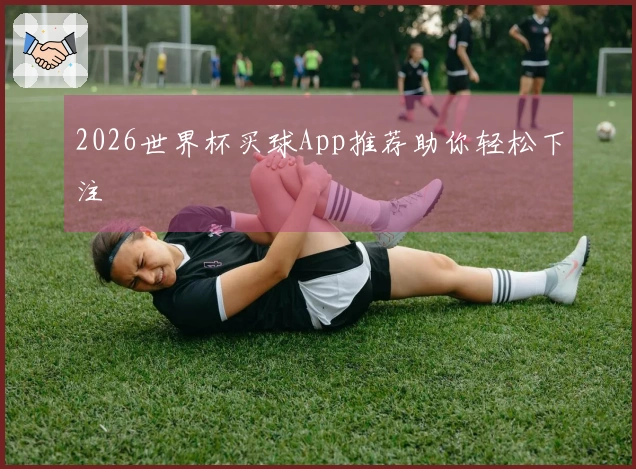 2026世界杯买球App推荐助你轻松下注 즐겨찾기