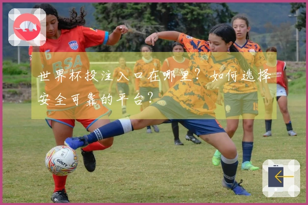 世界杯投注入口在哪里？如何选择安全可靠的平台？
