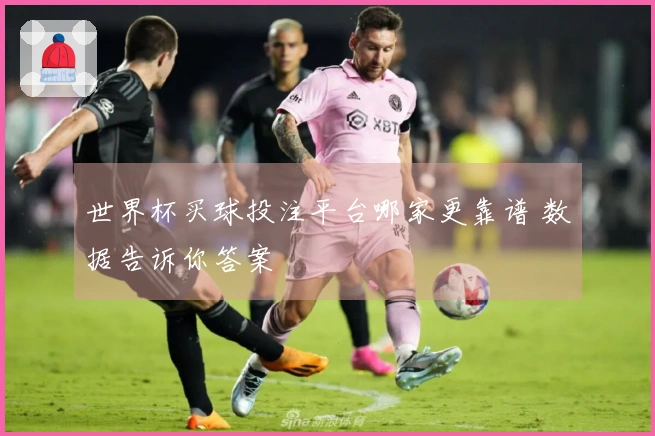 世界杯买球投注平台哪家更靠谱 数据告诉你答案