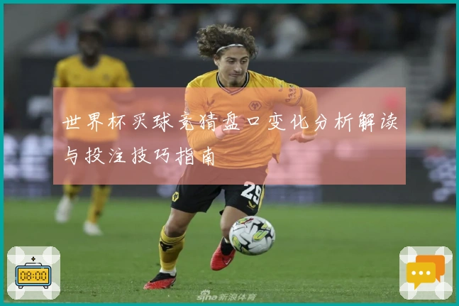 世界杯买球竞猜盘口变化分析解读与投注技巧指南